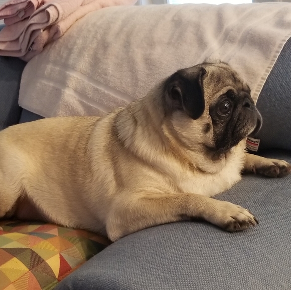 New listings! - Picture 14 of 16